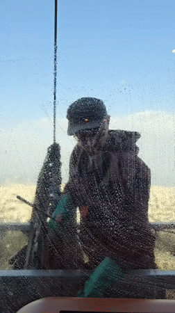 Cleaning crews maintain buildings in Al Jizah, Jordan