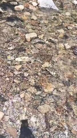 The video shows a close-up, overhead view of a shallow, clear stream flowing over a rocky bed. The rocks are of various sizes and colors, ranging from light gray and white to darker browns and grays, with some showing layered patterns. The water is moving and creating ripples and distortions on the surface, which refract the light and the colors of the rocks. In the bottom left corner of the frame, a dark shadow, presumably of the person filming, is visible. The overall scene depicts a natural, serene outdoor environment.