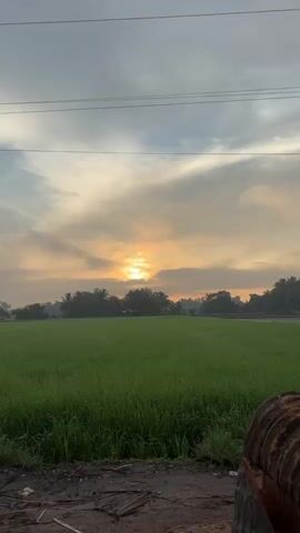 The video opens with a wide shot of a lush green field, possibly a rice paddy, under a cloudy sky. The sun is peeking through the clouds, casting a warm, golden glow on the scene. In the distance, a line of trees forms a silhouette against the illuminated sky. As the video progresses, the camera zooms in on the sky, focusing on the sun and the textured clouds that surround it. The colors in the sky intensify, shifting from pale yellow to a richer orange and gold. The trees in the background become more distinct, with palm trees and other foliage visible. The foreground shows a dirt path with some debris, and a portion of a large, textured object, possibly a vehicle tire or a rolled-up tarp, is visible on the right side of the frame. The overall impression is of a peaceful rural landscape at sunrise or sunset.