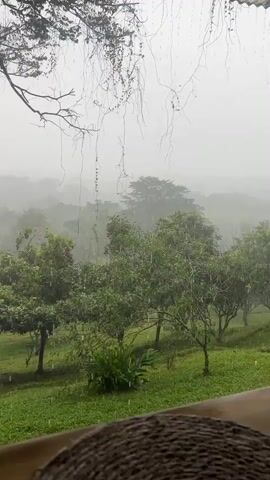 The video shows a view of a lush, green landscape during a rain shower. Trees and foliage are visible, with rain droplets falling throughout the scene. The sky is overcast and hazy, suggesting a continuation of the rain. In the foreground, a portion of a wooden railing or balcony is visible, along with the edge of a woven object, possibly a mat or coaster. The overall atmosphere is serene and natural, capturing the essence of a rainy day in a tropical or temperate environment. No people or specific actions are observed.