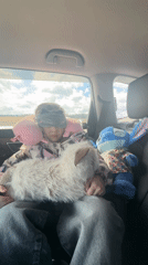 Child rests with sleep mask in car backseat, Russia