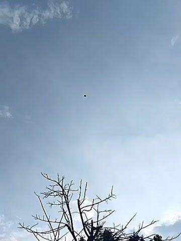 The video displays a bright, daytime sky with a light blue hue and sparse white clouds. In the lower portion of the frame, the dark silhouette of a bare-branched tree is visible. A small, dark, unidentifiable object is present in the sky above the tree line. The camera zooms in on this object, revealing it as a dark, somewhat blurred, and irregularly shaped silhouette against the bright sky. The object appears to be either stationary or moving very slowly. The scene takes place outdoors, with the provided context indicating the location as Bangsri, Indonesia. No people or text are visible.