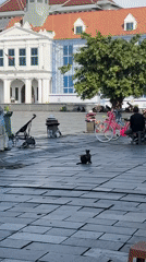Morning street life captured at Jakarta's historic Kota Tua