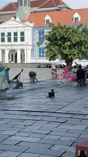 Morning street life captured at Jakarta's historic Kota Tua