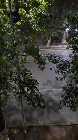This is a short video clip that appears to be shot at night, likely in an urban or suburban setting given the presence of a paved road and what looks like a street light in the background. The camera is positioned at an elevated angle, looking down onto a street and trees.

In the foreground, a hand is visible, holding what seems to be a cigarette that has a glowing red tip, suggesting it is lit. The hand and cigarette are partially obscured by shadows and the out-of-focus foliage of a tree. Beyond the hand, the street is visible, with a white line marking a lane. There are some faint shadows on the road, possibly cast by the trees.

Further down the street, a car is seen with its headlights on, indicating nighttime. The car is moving away from the camera. In the middle ground, there are several trees with dense green foliage, some of which are in focus while others are blurred due to camera movement or depth of field.

In the background, there are buildings or structures, but they are indistinct and out of focus. There is also a hint of artificial light, suggesting the presence of streetlights or lights from buildings. The overall mood of the video is somewhat dark and atmospheric, typical of a nighttime scene. The activity appears to be someone smoking a cigarette while observing the street below, possibly from a balcony or window. No discernible text is visible in the video.