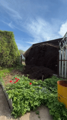 Spring scenes captured across Chaikovsky, Russia during morning hours