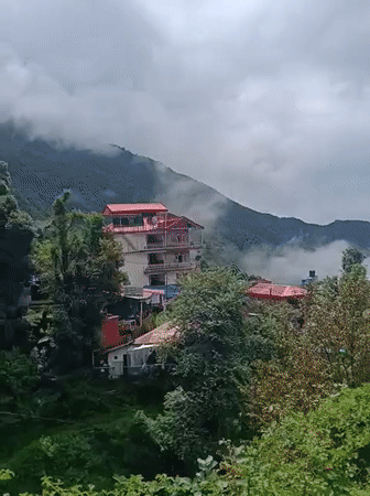 Quiet morning details from the hills around Bhagsu