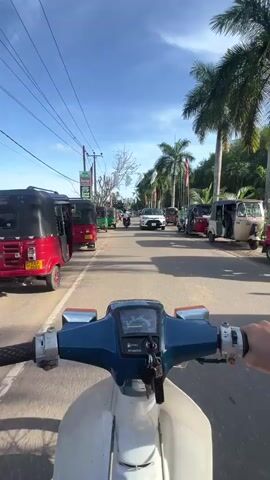 A first-person perspective video shows someone riding a vintage blue and white Honda motorcycle down a road in Sri Lanka. The road is lined with various vehicles, including numerous brightly colored tuk-tuks parked on either side and a white car driving in the opposite direction. Several other motorcycles are also on the road. Palm trees and Sri Lankan flags are visible along the road, with strings of white lanterns hanging overhead. The sky is clear and blue.