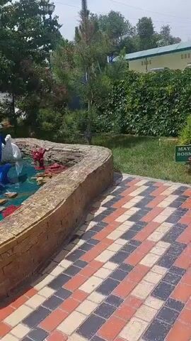 The video shows a stone fountain in a park-like setting. The fountain is surrounded by a paved walkway. The fountain itself is a multi-tiered structure with water flowing down the rocks. There are various statues of animals including dolphins, swans, storks, and an eagle placed around the fountain. The fountain is set amidst lush greenery, with trees visible in the background. A person is partially visible on the left side of the frame. The camera moves slightly to provide a wider view of the fountain and the surrounding area.