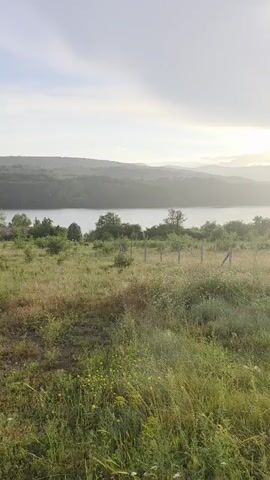 A scenic video shows a sunlit lake with rolling hills in the background. The foreground features a grassy field with scattered bushes and small trees, partially enclosed by a rustic fence. The sky is bright with some clouds, and the sun's rays reflect off the water, creating a serene atmosphere. The video captures a peaceful natural landscape.