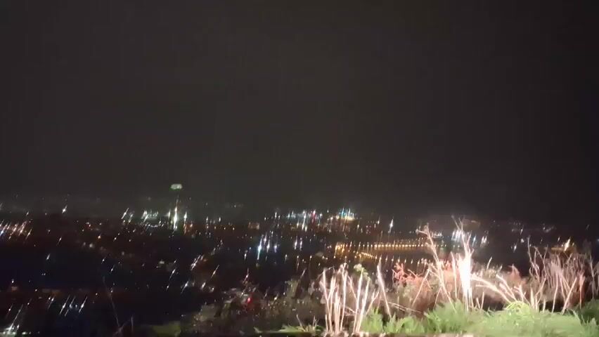 The video shows a nighttime cityscape viewed from an elevated position. The city lights create a blurred, bright glow in the distance, with some individual lights more distinct than others. In the foreground, there are blurry outlines of tall grasses or weeds, suggesting the camera is positioned in an overgrown area. The sky is dark and featureless. Sporadic flashes of light appear sporadically in the sky above the city lights.
