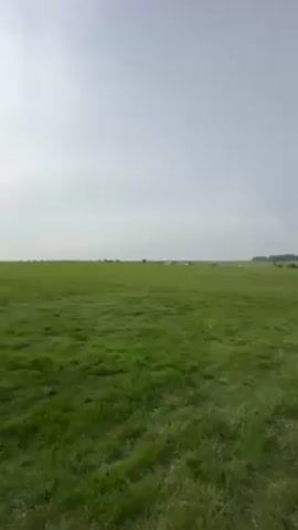 The video shows a wide, grassy field under a bright sky with the sun peaking through the clouds. In the distance, there is a gathering of people near Stonehenge. The camera pans slowly, revealing more of the field and the distant monument.