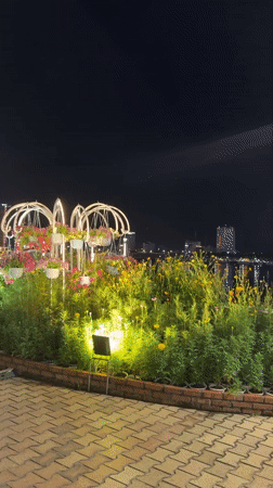 Da Nang's riverside lights up at night with flowers and sculptures