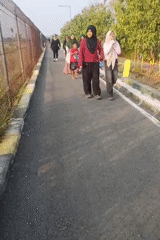 Quiet morning along a Central Java lakeside path