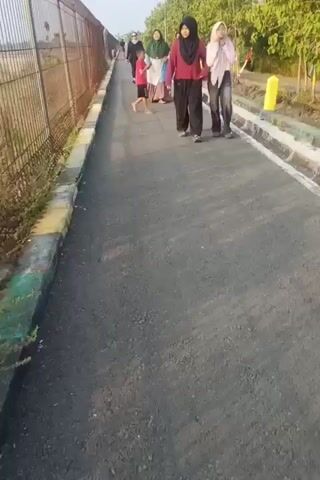 A group of people, including at least four adults and two children, are walking along a paved path next to a fence and a line of trees. The sun appears to be setting or rising, casting a warm light on the scene. The people are walking in the same direction, and some are interacting with each other. The path is relatively wide and appears to be in good condition. The fence is made of metal mesh and runs along the left side of the path. The trees on the right side of the path are leafy and green. The sky is a pale blue.