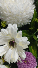 KL flower shop in full swing with condolence and gift arrangements