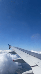 Air traveler documents flight arrival in Saint Petersburg