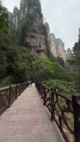 The video shows a walkway with a brown railing leading through a lush, green landscape with towering rock formations. Two people are walking on the walkway, moving away from the viewer and towards the distant, imposing rock pillars. The sky is overcast, and the environment is filled with dense vegetation. The walkway is made of rectangular stone blocks. The rock formations are the primary visual feature, dominating the background and framing the path.