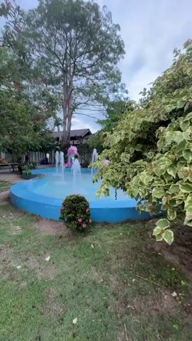 A fountain with blue edging and a light blue basin features several pink dolphin statues spraying water. Surrounding the fountain is a grassy area with a large tree in the background, its trunk appearing light in color. Green foliage with variegated leaves frames the right side of the fountain, and a bush with pink flowers sits in the foreground. In the background, a building with a dark roof is visible. Two people, one wearing a red shirt and the other a dark shirt, are standing near the building. The sky is cloudy, with overcast conditions.