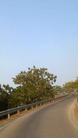The video shows a road winding through a wooded area. The road is paved and has a metal guardrail on the left side. Trees with green and yellow leaves line both sides of the road. The sky is clear and blue. There are a few people and motorcycles on the road in the distance. The video appears to be filmed from a moving vehicle.