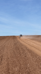 Rural morning scenes documented in Perevoznoe, Russia