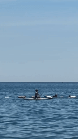 Busy summer afternoon on the water in Boreti, Montenegro
