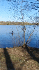Morning fishing activities observed at lake location