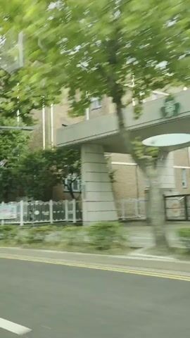The video shows a blurry, fast-moving shot of a street scene. The perspective appears to be from inside a moving vehicle. On the left side of the frame, there is a road with yellow and white lines. Beyond the road, there is a sidewalk and a white fence. Behind the fence are some bushes and trees with green foliage. A brick building with windows is visible behind the trees. On the right side of the frame, there are more trees and a street signpost. The overall impression is that of passing by a residential or institutional area on a cloudy day.