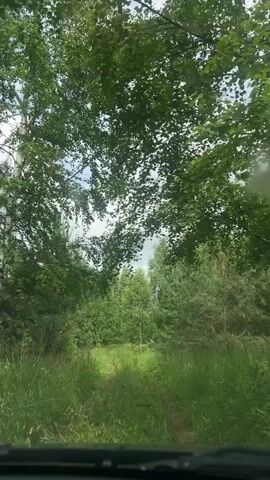 The video shows a view from inside a vehicle, looking out at a dirt path through a lush green forest. The path is overgrown with tall grass, and trees line both sides. The sky above is partly cloudy, with patches of blue visible. The foliage is dense and appears to be in full bloom, suggesting it is springtime or summer. The car is moving slowly along the path, causing the trees and sky to blur slightly. There are no people or animals visible in the video. The overall impression is one of a quiet, natural landscape being traversed by a vehicle.