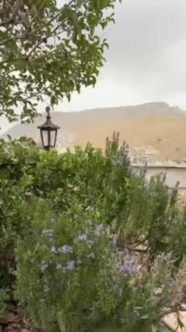 The video presents a static shot of an outdoor setting. A bushy plant with small blue flowers, likely rosemary, is visible in the foreground. Behind it, a taller, fuller hedge obscures a view of a city skyline, which sits in the middle distance. A rugged, hilly landscape forms the backdrop. A black, old-fashioned lantern hangs in the middle of the frame among some tree branches. The overall atmosphere is somewhat hazy and overcast.