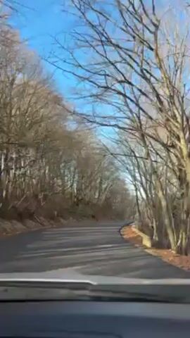 The video shows a car driving on an empty asphalt road lined with bare trees, possibly in winter. The sky above is a bright, clear blue with scattered white clouds. The road curves gently, and sunlight occasionally peeks through the trees. The interior of the car is visible at the bottom of the frame, and the dashboard is light gray. There are no visible people or interactions in the video.