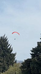 Red paraglider spotted flying over Budva, Montenegro