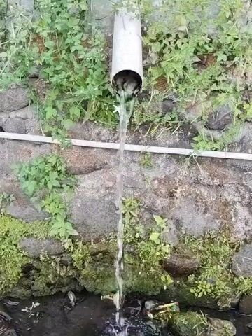 A pipe extends from the top center of the frame, angled downwards and to the left, dispensing a stream of water. The pipe appears to be made of white plastic. The water falls into a dark pool of water at the bottom of the frame, where some debris, including plastic bags and possibly leaves, can be seen. The pipe is mounted on a rough, textured wall composed of stones and mortar. Green plants, some of which are vines, grow on and around the wall, obscuring parts of it. A white plastic pipe runs horizontally across the wall, just below the main pipe. The scene appears to be outdoors, with natural light illuminating the area. The video is shot from a stationary perspective, focusing on the water flow.