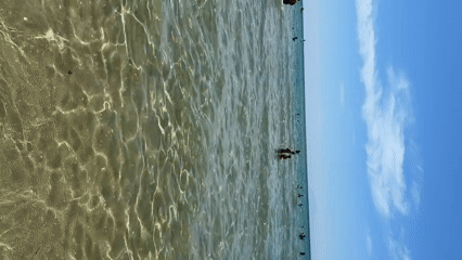 Morning beach scene documented in Nea Peramos, Greece