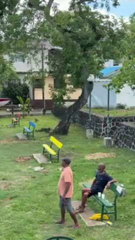 The video shows a park scene with two men, colorful benches, and a large tree providing shade. One man, wearing an orange shirt and shorts, stands with his hands on his hips, looking towards the right. Another man sits on a green bench, appearing relaxed with a cup in his hand. There are several colorful benches scattered around the park, and a building is visible in the background with a mix of white and yellow walls. The ground is covered in green grass, and there's a low stone wall along one edge of the park. A red and white boat is partially visible in the background. The sky appears overcast.