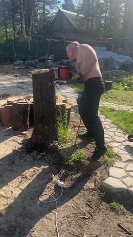 A shirtless man with short hair and black pants is operating a chainsaw on a large tree stump in an outdoor setting. He is wearing yellow gloves and holding the chainsaw with both hands, pushing it into the stump. Sawdust is visible around the base of the stump. To the left, there are several cut logs. The ground is a mix of dirt and sand, with some patches of green grass. A white extension cord is lying on the ground, connected to the chainsaw. In the background, there's a green fence, trees, and a house with a dark roof. The sun is shining, casting shadows on the ground.
