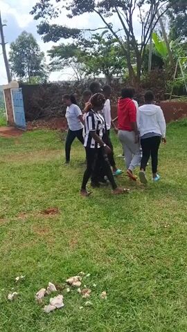A group of about ten people of various ages walk through a grassy yard in a staggered cluster. They are dressed casually. A low brick wall, a gate and trees define the perimeter of the yard. In the foreground, there is a patch of light-colored debris. The sky is overcast.