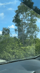 Motorist captures Garuda statue glimpsed through foliage in Kuta Selatan