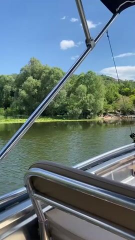 The video shows a body of water, likely a lake or river, viewed from a boat. The water is a murky green, with some lily pads visible on the surface. The shoreline is lined with lush green trees and vegetation. In the distance, a small sandy beach is visible with a group of people, appearing to be women, sitting on the sand in swimsuits. The sky is blue with scattered white clouds. The video is filmed from a low angle, looking towards the shore.