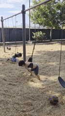 Kids playing at a Glendale playground on a summer evening