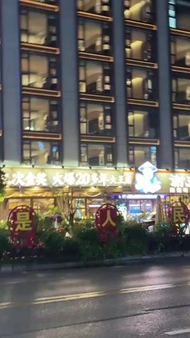 The video starts with a static shot of a brightly lit multi-story building at night. The building's façade features numerous rectangular windows, each emitting a warm, yellow light. Below the building, vibrant storefront signage is visible, adorned with Chinese characters and illuminated in various colors. The storefront is separated from the street by a low hedge decorated with red and gold ornaments. The street is dark and wet, reflecting the ambient light.

The camera suddenly moves quickly and blurrily, then the focus shifts to a leafy branch in the foreground, obscuring some of the view. In the background, the lights of other buildings twinkle through the leaves, suggesting a city street at night. The scene is generally dark, with artificial lights illuminating the urban landscape.