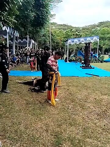 The video shows a performance taking place on a grassy field, with a crowd of people watching. In the foreground, a person in a red and white striped shirt and traditional pants is holding a yellow cloth. Behind them, a person lies prone on the ground. The stage area is covered with a blue tarp, and has a decorated pillar under a white canopy. There are trees and hills in the background. The sky is overcast.