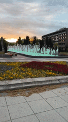 Spring blooms and Roman ruins documented in Constanta park