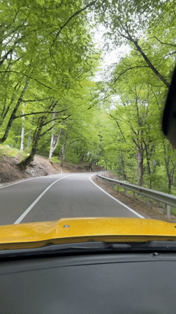 Dashcam captures tree-lined drive through rural Georgia