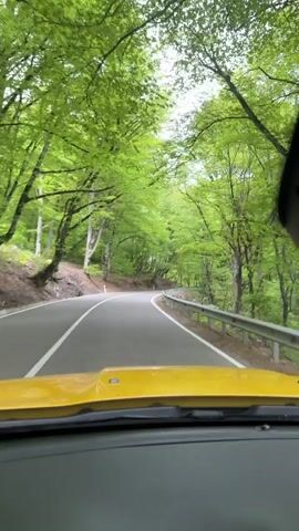 A video shot from the dashboard of a yellow car driving along a paved road. Tall green trees on either side of the road form a canopy overhead. The road curves slightly and has a metal guardrail on the right side. The sky is visible through the treetops, appearing overcast. The car is in motion, traveling along the winding road. Music plays in the background.