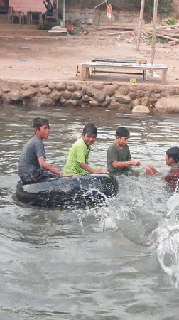 Children play in Saweuk river amid rural Indonesian village life