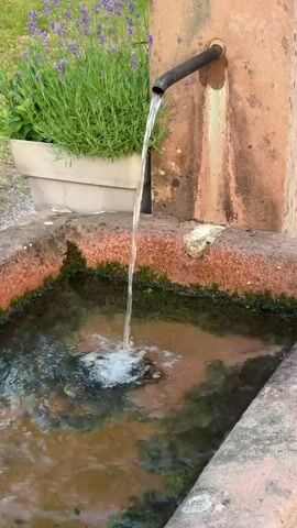 A close-up shot shows water flowing from a spout into a stone basin. The water stream is thin and steady, creating ripples and bubbles as it hits the surface of the water in the basin. The basin appears to be old and weathered, with moss growing on its edges. In the background, a potted plant with purple flowers, likely lavender, is visible. The overall scene suggests an outdoor setting, possibly a garden or courtyard, with a focus on a rustic water feature. The lighting is natural and appears to be daylight.