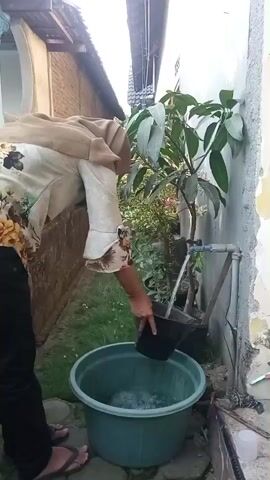A person wearing a hijab and a floral-patterned shirt is bending over and pouring water from a black pot into a large green tub. Water is also running from a faucet into the black pot, creating a stream. The person is outdoors with a building in the background and green plants around.