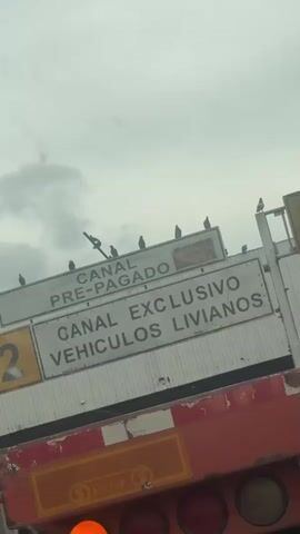 The video shows a close-up view of signs on a road, likely at a toll booth. The signs are in Portuguese and Spanish, indicating different payment methods and vehicle types. Several pigeons are perched on top of the signs. The sky is overcast, suggesting cloudy weather. The lower part of the video shows the top of a red vehicle, possibly a truck, with some visible labels. The camera is angled upwards, capturing the signs and the sky. The video appears to be filmed from within a vehicle.