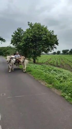 Mhaiswadi, India